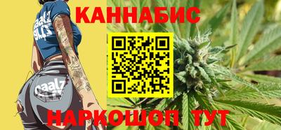 крисы Аргун