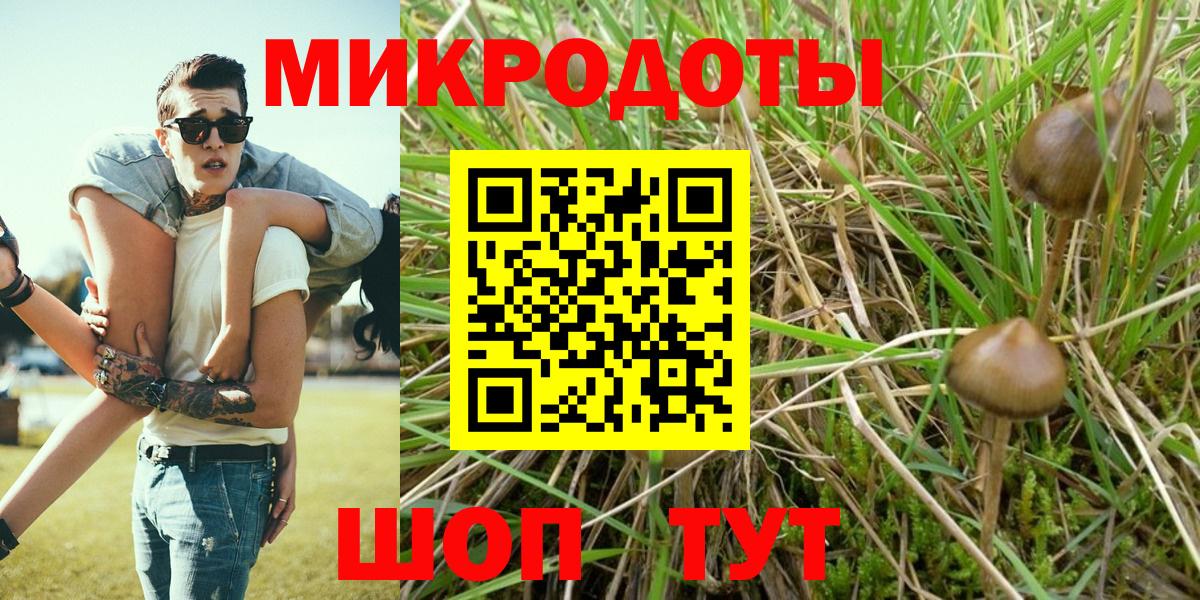 Псилоцибиновые грибы прущие грибы Тюмень
