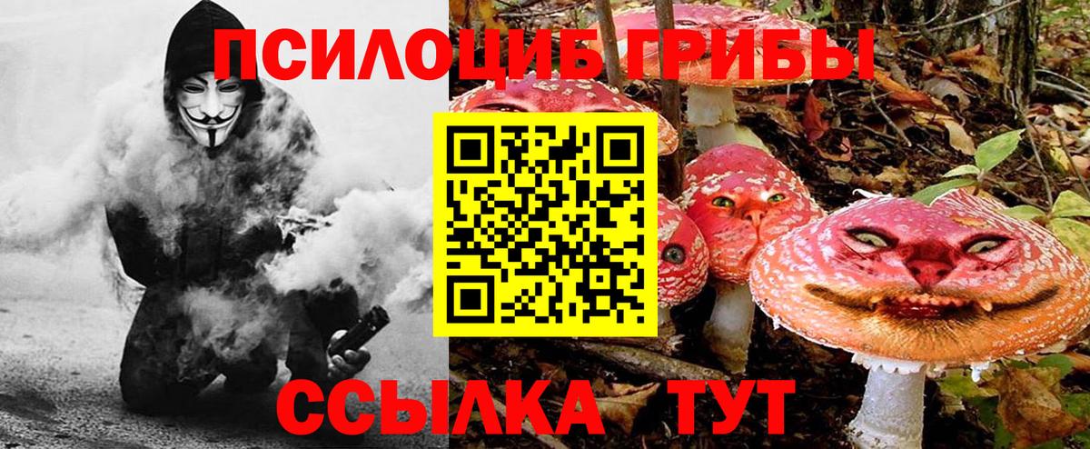 Псилоцибиновые грибы MAGIC MUSHROOMS  Тюмень 