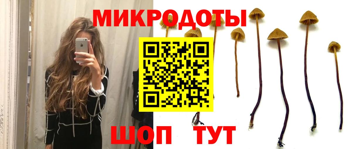 Псилоцибиновые грибы прущие грибы Тюмень